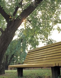 Plenty of Space to Relax Outside at Forest Park Gardens Apartments in Statesville NC